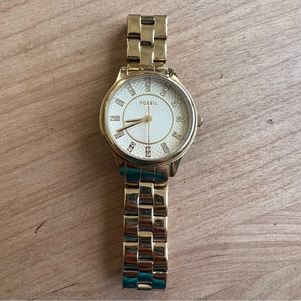 Fossil brand model